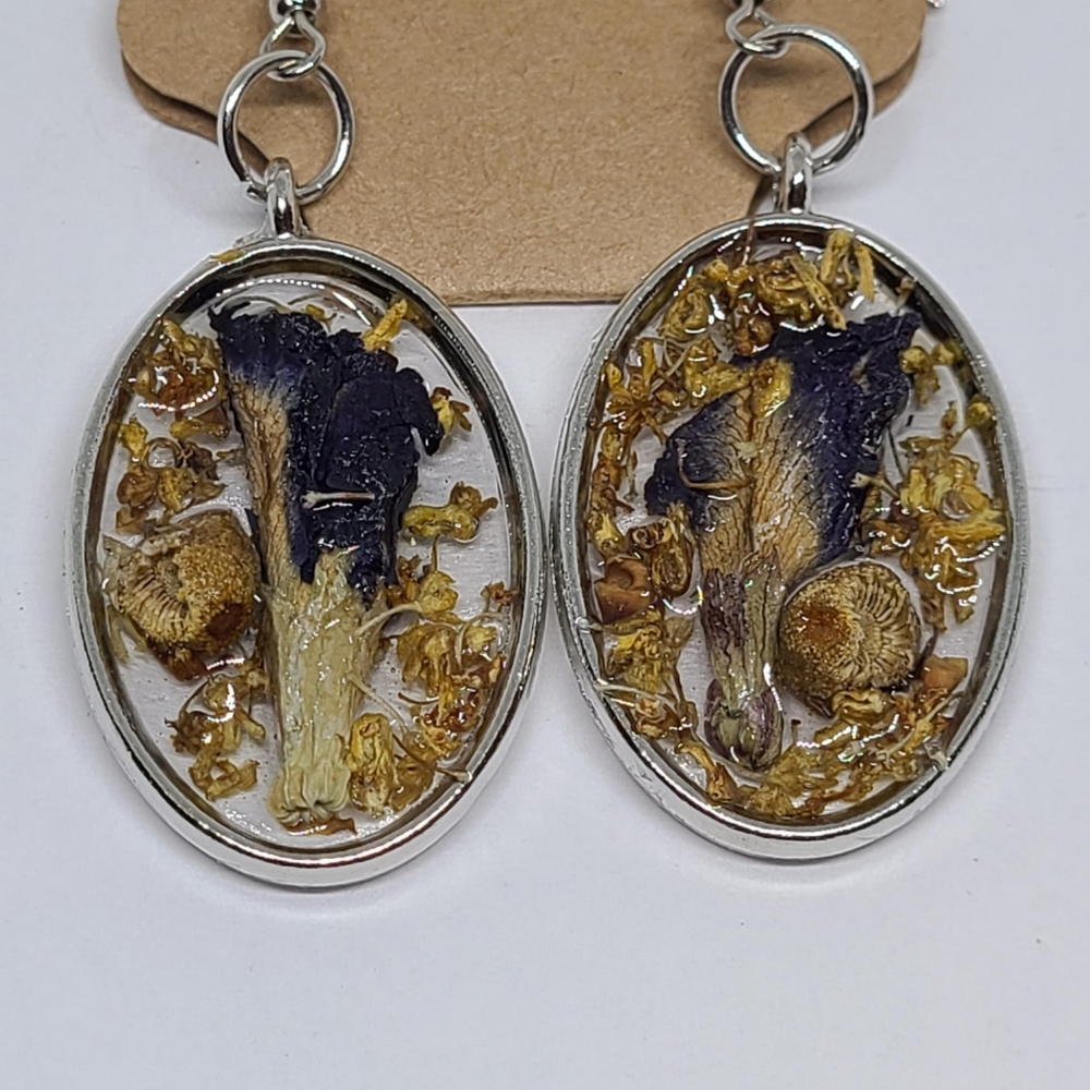 Silver Oval Earrings